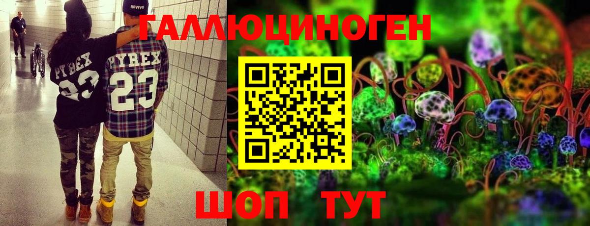 Псилоцибиновые грибы GOLDEN TEACHER  Вход с VPN  Каспийск 